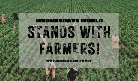 image of farmers farming with writing saying Wednesday's world stands with farmers no farmers no food